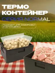 Термоконтейнер TERMOBOX Бытовой Normal, 18 л, 400х300х270 мм, 40кг/м3