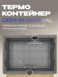 Термоконтейнер TERMOBOX Бытовой Normal, 109 л, 800х600х390 мм, 40кг/м3